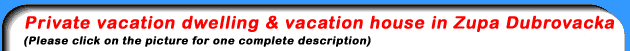 Private vacation dwelling and vacation house in Zupa - Dubrovacka - Dubrovnik - Mlini