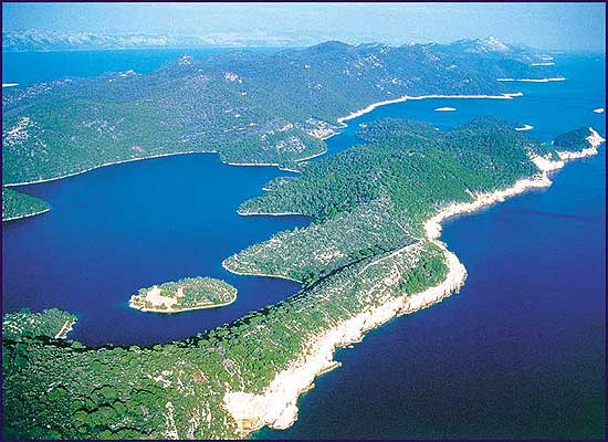 Kroatien Insel Mljet Villa Mungos Kroatien Insel Mljet Villa Mungos Kroatien Insel Mljet Villa Mungos Zimmer Villa Mungos Mljet Appartement Mljet Ferien Mljet Urlaub Mljet Ferienhaus Mljet Ferienwohnung Mljet Odisej Grotte Nationalpark Mljet National Park Mljet  National Park Mljet